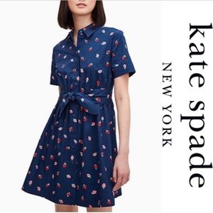Kate Spade dress